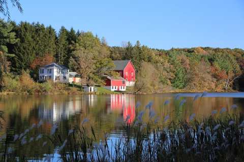 A Night At Lily Springs Farm Airbnb Is The Closest You'll Get To A Stay Down On The Farm