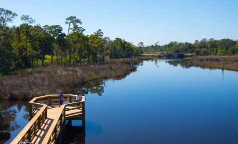 You Haven't Lived Until You've Experienced This One Incredible Park In Mississippi