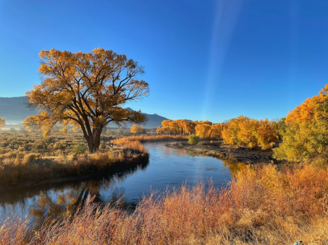 Tiny But Mighty, The Smallest State Park In Nevada Is A Hidden Gem Worth Exploring