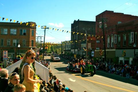 If There's One Fall Festival You Attend In West Virginia, Make It The Black Walnut Festival