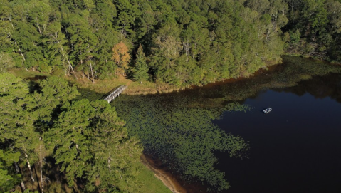 With Only 22 RV Campsites, The Turkey Creek Park Campground In Mississippi Offers A Remote Forest Escape