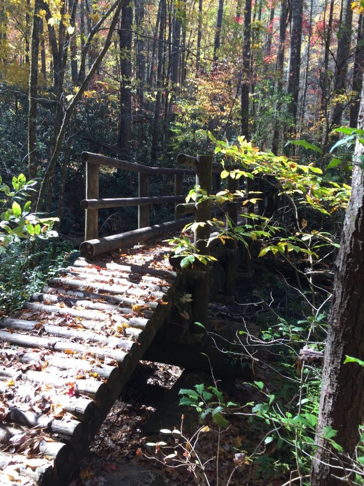 ellicott rock wilderness chattooga river trail