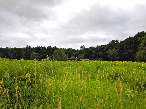 The One-Of-A-Kind Nature Center In Wisconsin That's Like A Mini Zoo