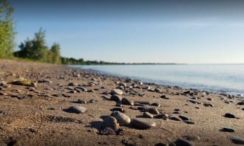 There's A Beach Right Next To A Zoo In Wisconsin, Making For A Fun-Filled Family Outing