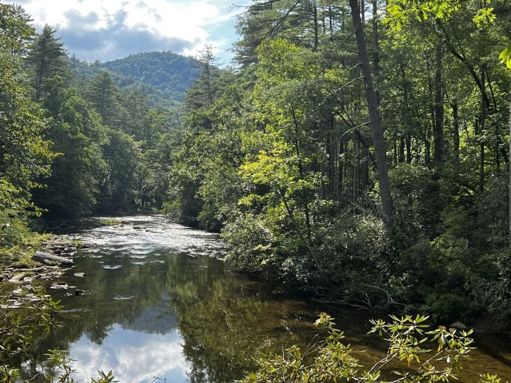 ellicott rock wilderness chattooga river trail