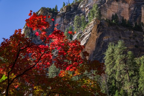 7 Kid-Friendly Fall Hikes In Arizona The Whole Family Can Enjoy