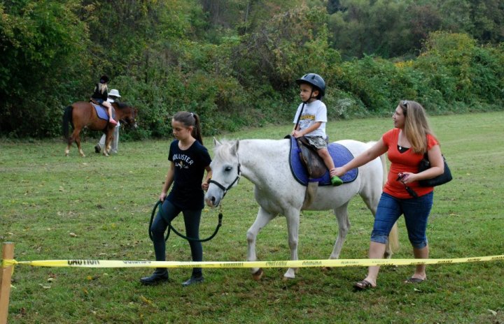 best fall festivals in maryland