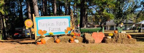 Get Your Caramel Apple Fix From This Legendary Mississippi Farm