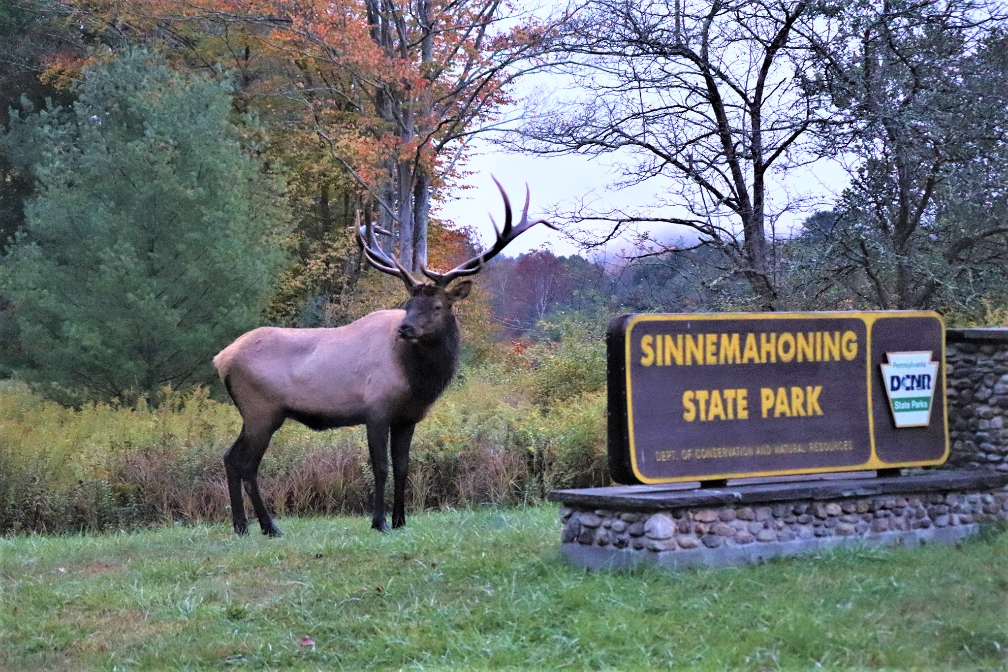 Pennsylvania banner image