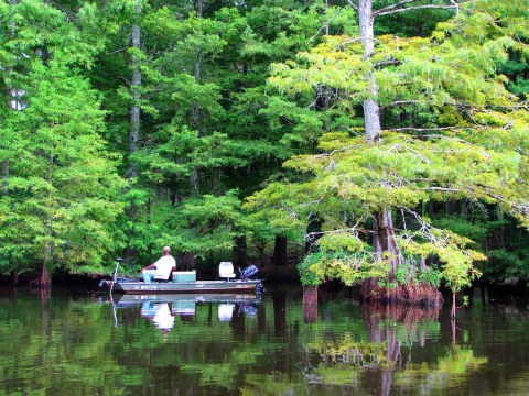 The Mississippi Lake That's Almost Unbelievably Calming, No Matter What Time Of Year It Is