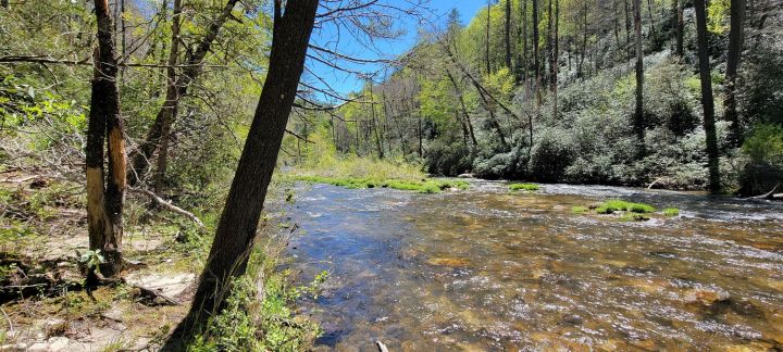 ellicott rock wilderness chattooga river trail