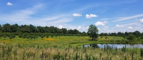 Tiny But Mighty, The Smallest State Park In Missouri Is A Hidden Gem Worth Exploring