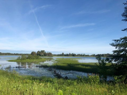 There Are A Total Of 4 Nature Trails Hiding Around The Small Town Of Germfask, Michigan