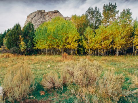 The Fall Foliage At These 7 State Parks In Idaho Never Fails To Enchant