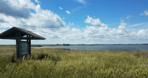 One-Third As Salty As The Ocean, Minnesota's Salt Lake Is One Of The Most Unique Lakes In The State