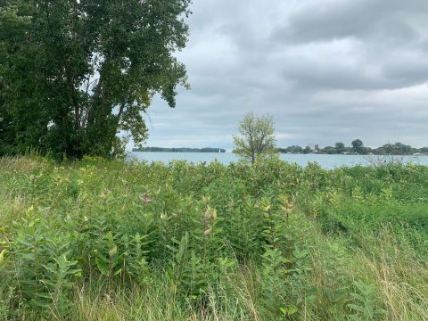 Follow This 2.1-Mile Trail In Detroit To A Lighthouse, Lagoon, and Views of Canada