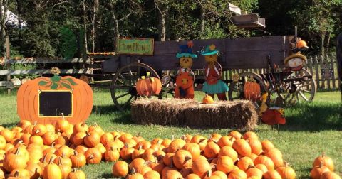 Get Lost In These 3 Awesome Corn Mazes Around New Orleans This Fall