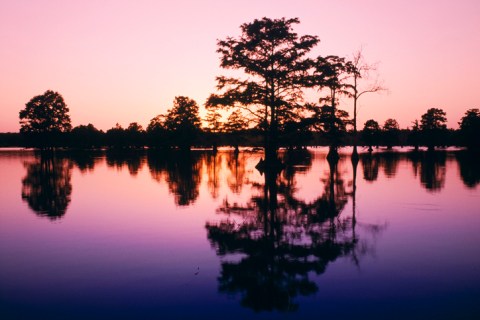 The Most Scenic Lake In Illinois Is Perfect For A Year-Round Vacation