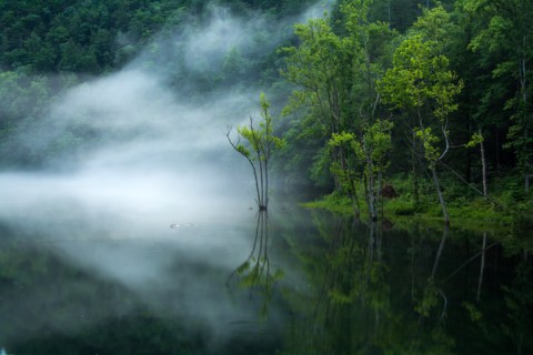 The Most Scenic Lake In Tennessee Is Perfect For A Year-Round Vacation