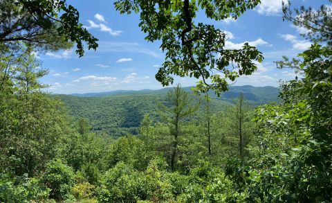 Climb Over Tree Roots And Ogle The Magnificent River On This Fairy Tale Trail In Connecticut