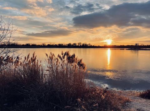 Watch The Sunset At Lake Renwick Preserve, A Unique Nature Escape In Illinois