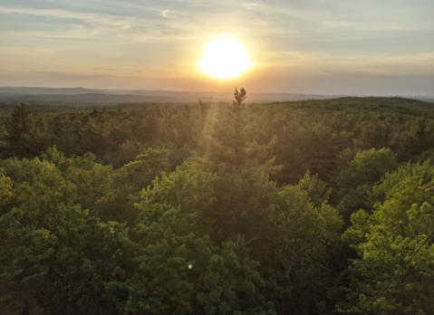 With Only 51 Campsites, The D.A.R. State Forest In Massachusetts Offers A Remote Forest Escape