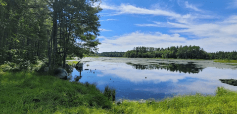 With More Than 10,000 Acres To Explore, New Hampshire's Largest State Park Is Worthy Of A Multi-Day Adventure