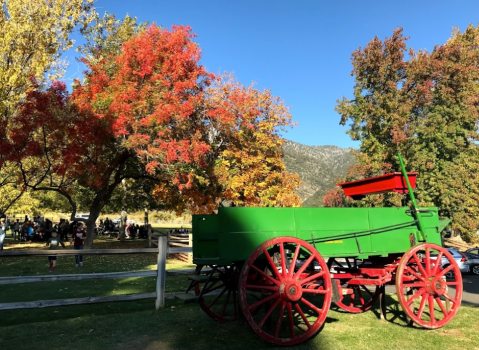 Pick Your Own Apples At This Charming Farm Hiding In Southern California