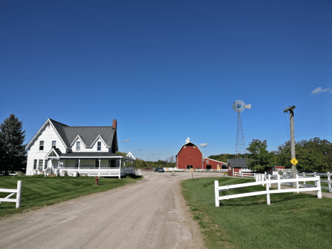 Most People Don’t Know This Petting Zoo And Adventure Farm Near Detroit Even Exists