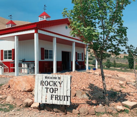 Pick Your Own Raspberries At This Charming Fruit Farm Hiding In Utah