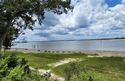 Tiny But Mighty, The Smallest State Park In Florida Is A Hidden Gem Worth Exploring