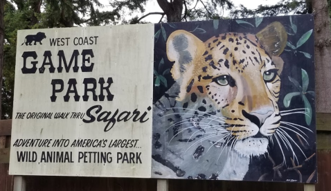 After Exploring the Grounds, Feed Deer At West Coast Game Park Safari in Oregon