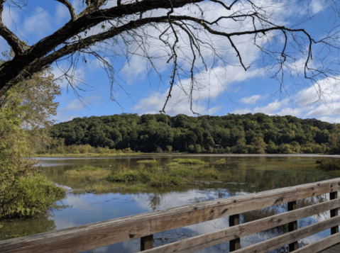 There's A Nature Center Right Next To A Riverwalk In Georgia, Making For A Fun-Filled Family Outing