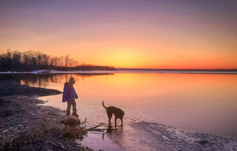 Tiny But Mighty, One Of The Smallest State Parks In Vermont Is A Hidden Gem Worth Exploring