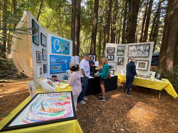 mill valley arts festivals