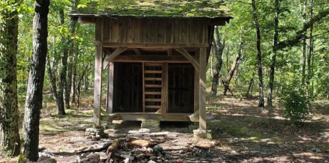 The Blue Mountain Via Pinhoti Trail In Alabama Was Named One Of The Scariest Haunted Hikes In The U.S.