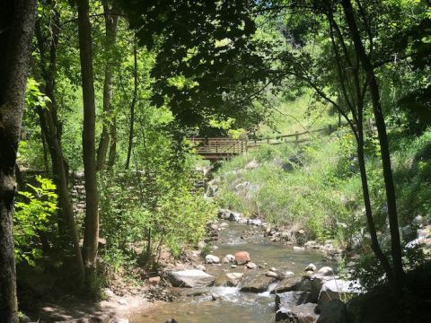 Take A Scenic Hike On This Shaded, Kid-Friendly Trail In Utah To Stay Cool