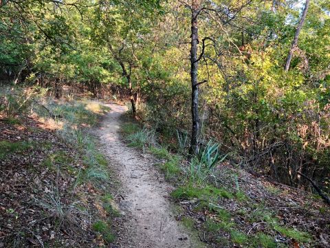 Climb Natural Stairs And Ogle 120-Million-Year-Old Limestone Cliffs On This Fairy Tale Trail In Texas