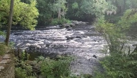 Baynard and Seminole Trail Is A Gorgeous Forest Trail In Florida That Will Lead You To A Hidden Overlook