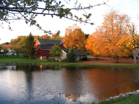 Elderberry Pond In New York Is A Secret Garden Restaurant Surrounded By Natural Beauty