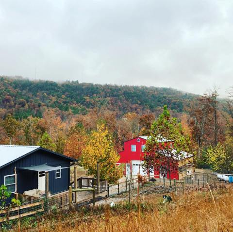 This Charming Little Farm In Arkansas Is The Perfect Place To Get Away From It All