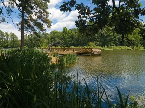 This Arkansas Wildlife Refuge Is One Of The Most Secluded Places In The State