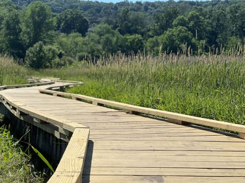 Take A Boardwalk Trail Through Woodlands Near Wawayanda State Park In New Jersey