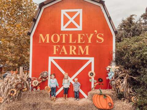 Nothing Says Fall Is Here More Than A Visit To This Charming Arkansas Pumpkin Farm