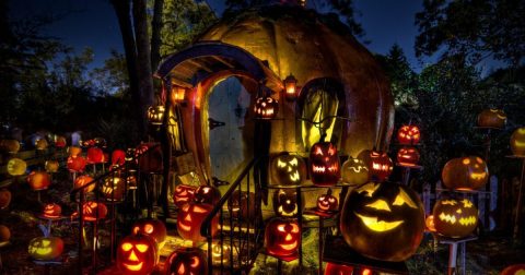 More Than 5,000 Glowing Pumpkins Will Light The Night At Minnesota's Jack-O-Lantern Spectacular This Year