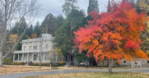 Don't Miss These 11 Places To See Gorgeous Fall Foliage In Nevada