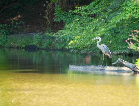 3 New Jersey Nature Centers That Make Excellent Family Day Trip Destinations