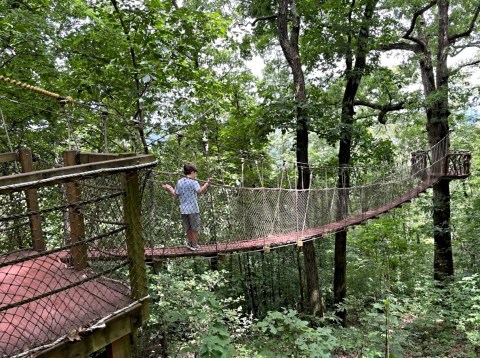 The Red Mountain Park Swinging Rope Bridge In Alabama Will Make Your Stomach Drop