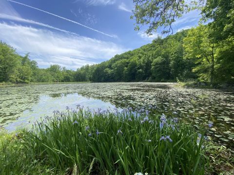 With Only 22 Campsites, Jenny Jump Campground In New Jersey Offers A Remote Forest Escape