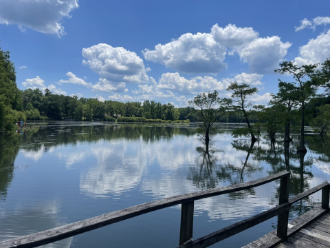 Don't Let These Stunning Views Fool You, Wall Doxey Trail In Mississippi Is Actually An Easy Hike